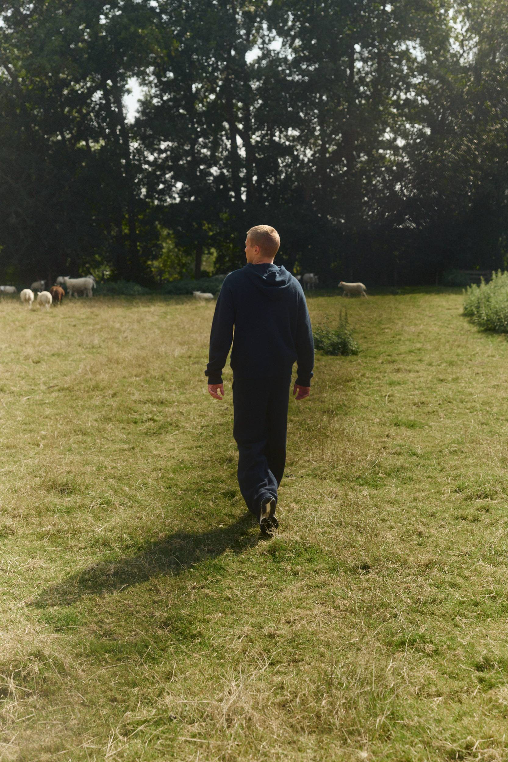Man in a navy woolknit zip jacket and pants walking across a grassy field with grazing sheep.