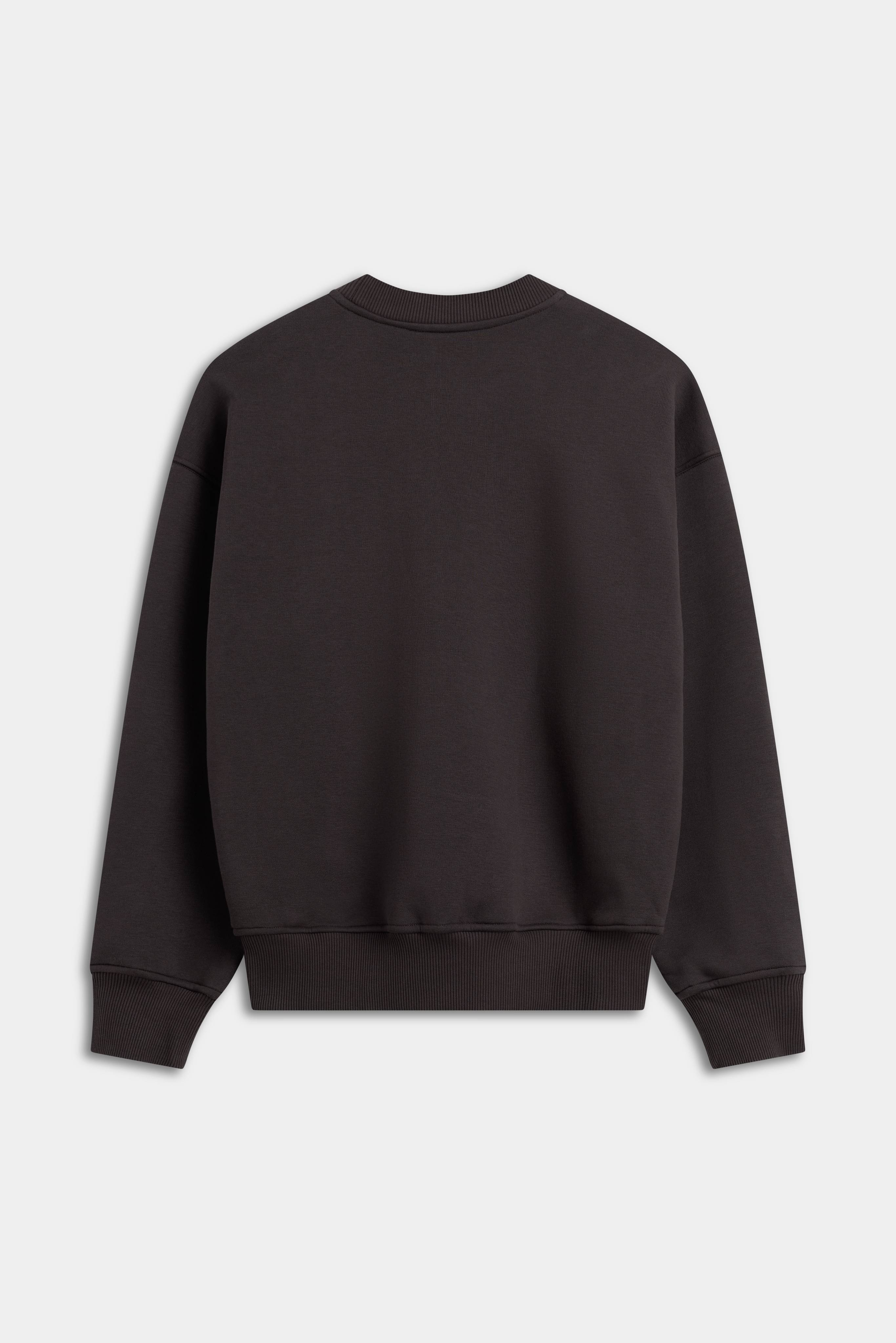 Back view of the espresso brown CASPARA CS crewneck sweatshirt.
